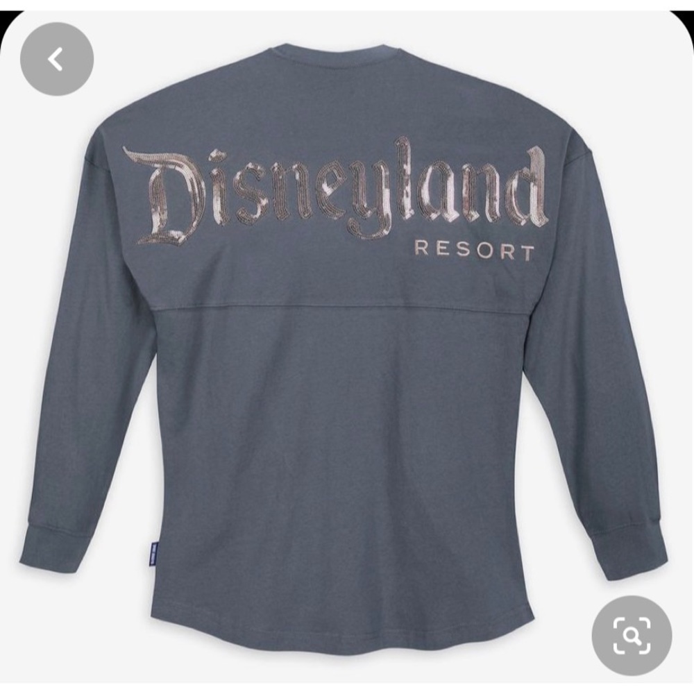 Disneyland Spirit Jersey